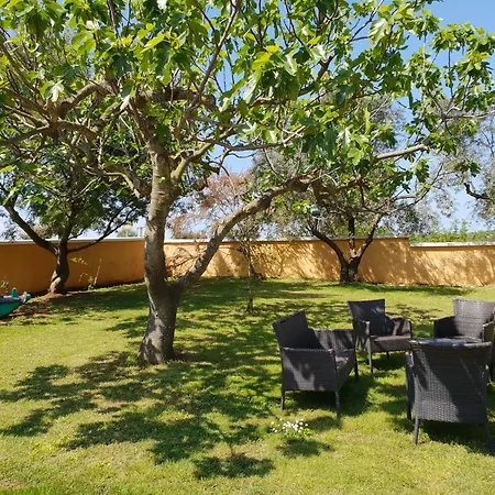 Luxury Marin - Summer Paradise, Terrace, Garden, Summer Kitchen & Barbecue, Near The Beaches, Istria *