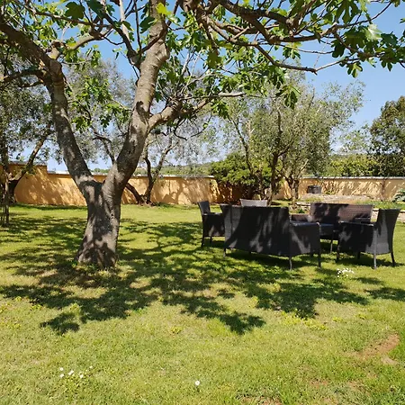 Luxury Marin - Summer Paradise, Terrace, Garden, Summer Kitchen & Barbecue, Near The Beaches, Istria Daire *
