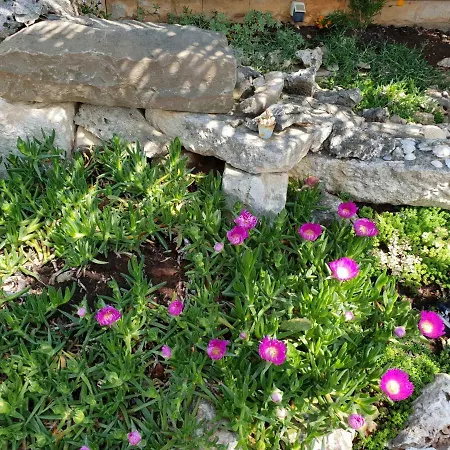 Luxury Marin - Summer Paradise, Terrace, Garden, Summer Kitchen & Barbecue, Near The Beaches, Istria Daire
