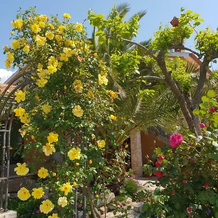 Luxury Marin - Summer Paradise, Terrace, Garden, Summer Kitchen & Barbecue, Near The Beaches, Istria Daire